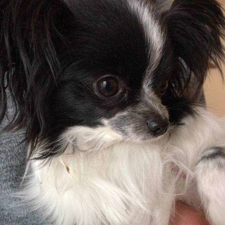 Ed950921 bee7 4ade 81c7 36a9e62cd765