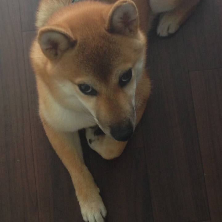 Ed950f88 c473 49bf 8938 cb3442bd6e0b