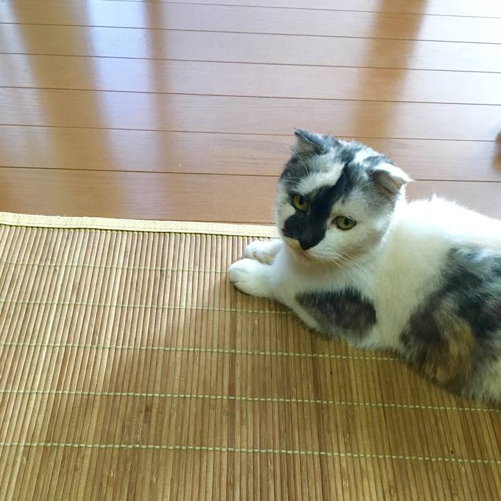 Ed9517a7 18d5 44bb 960e 5a7408e23f91