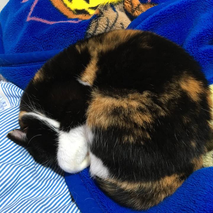 Ed952017 e17c 49d6 a193 39b852fc9976