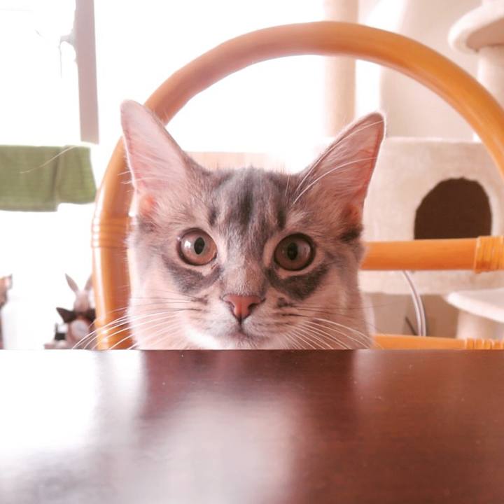 Ed95f7ed 4104 4e75 9035 54b44f37328c