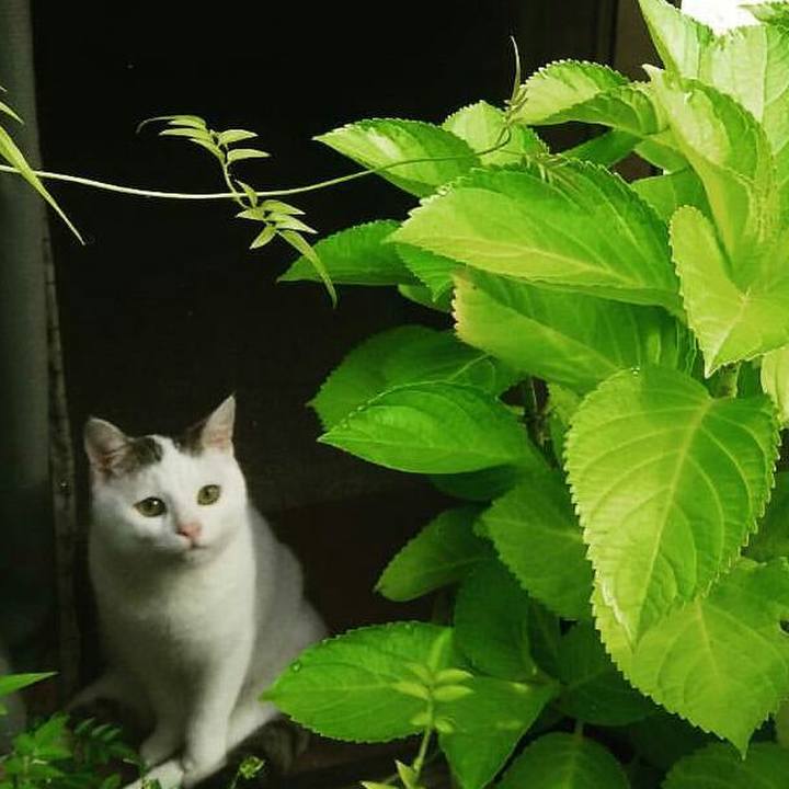 Ed967bf6 ebbd 47a9 8daf 1752ce55ef45