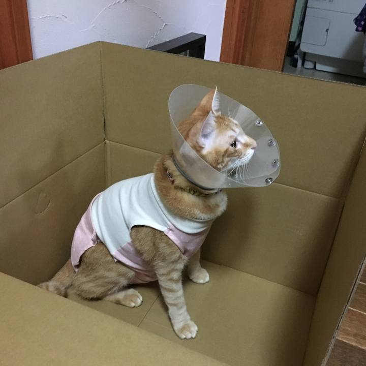 Ed973174 5167 4c7d a611 79cd62acba11