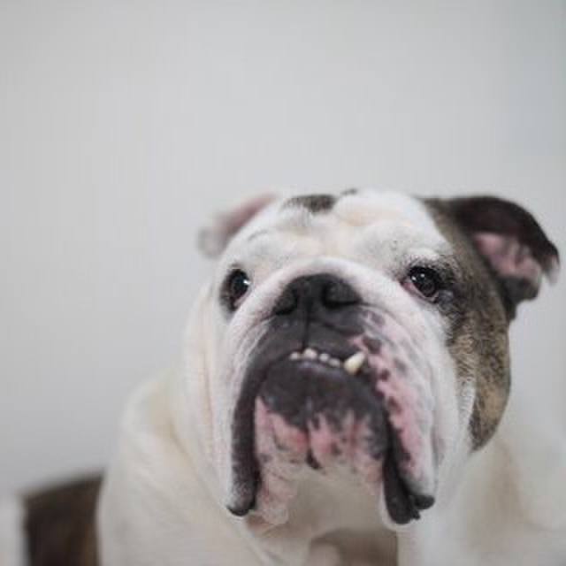 Ed9740c7 5cc9 4706 a305 5317336e7996