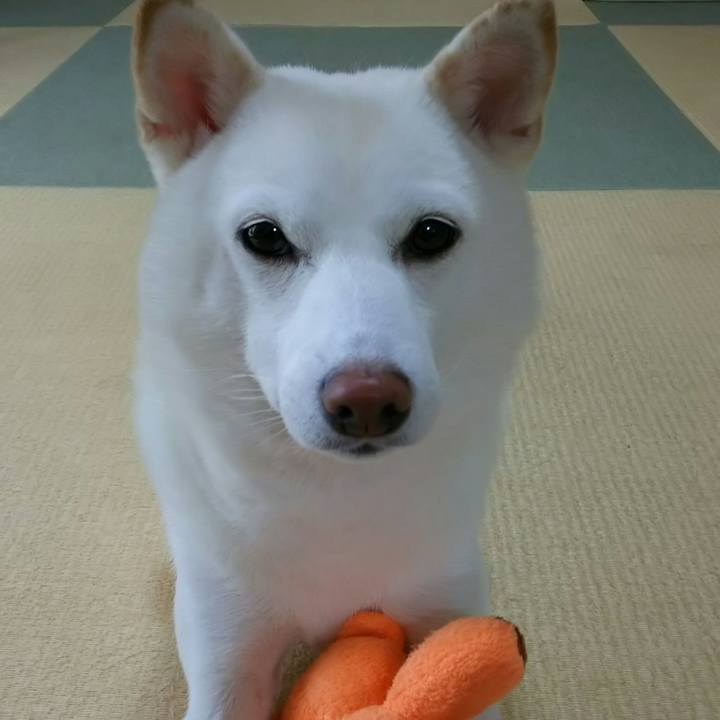 Ed980364 d7be 4442 8f40 5900e10e895a