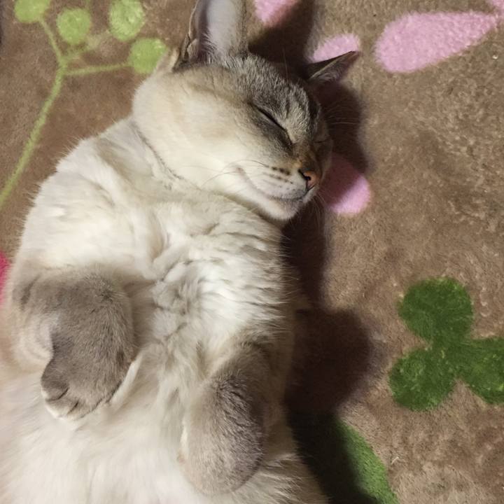 Ed99bdec 0490 4cdc bbeb bf9299a2019e