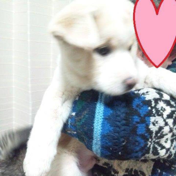 Ed99d365 6f9b 4721 9a5a d0c36b6d76d7