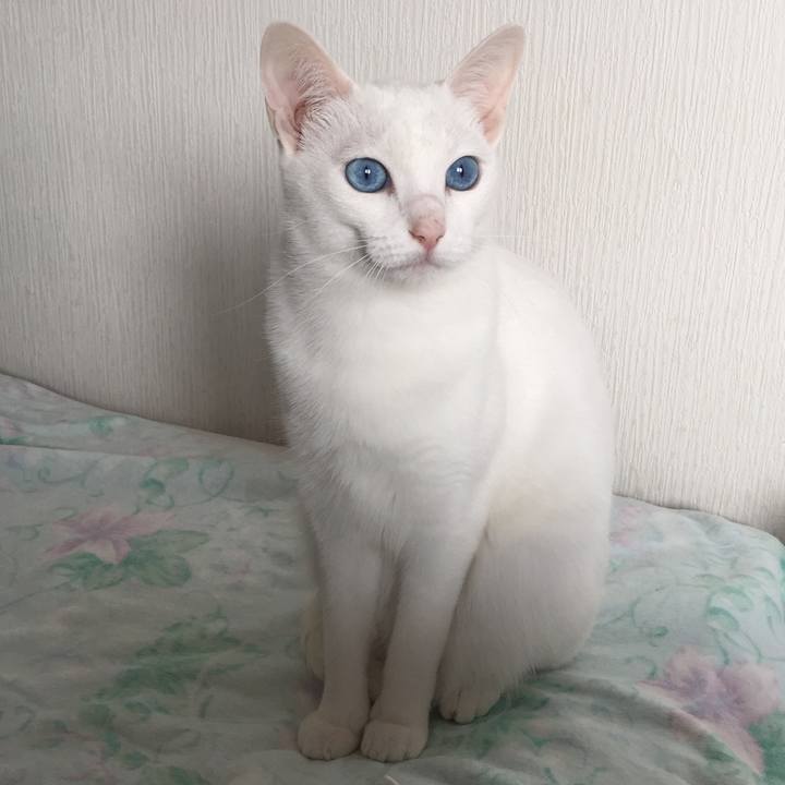 Ed9a13e2 aefe 49dc 9a52 d89292e888fa