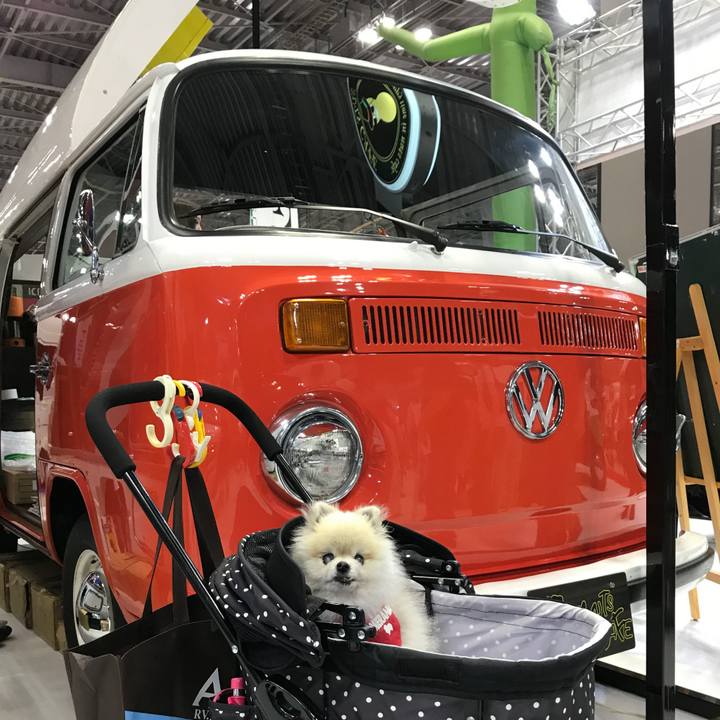 Ed9a9f5a 4a7e 4725 9b8a 871abe1314af