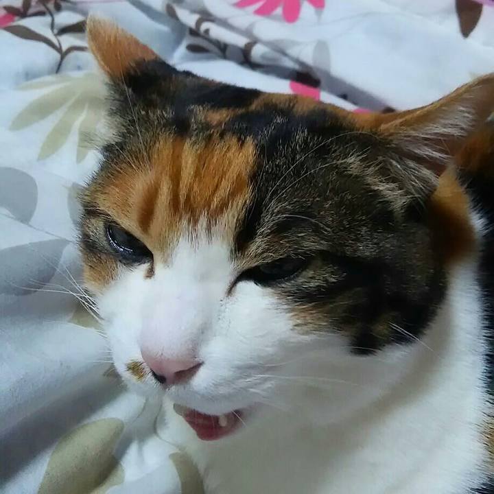 Ed9b0bf2 7127 4f74 ab5f 5519d1e7cc28