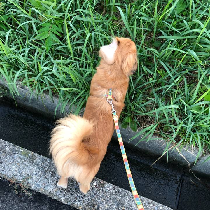 Ed9b0f4d 80fc 4816 89f0 19e0c88dff5c