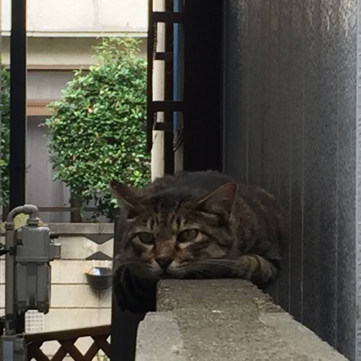 Ed9b4c96 f573 4020 8979 20e0dc192cc3