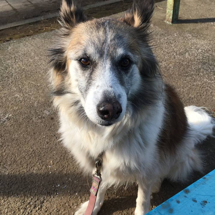 Ed9b653f 0b0b 48c4 a4e3 b65561a88148