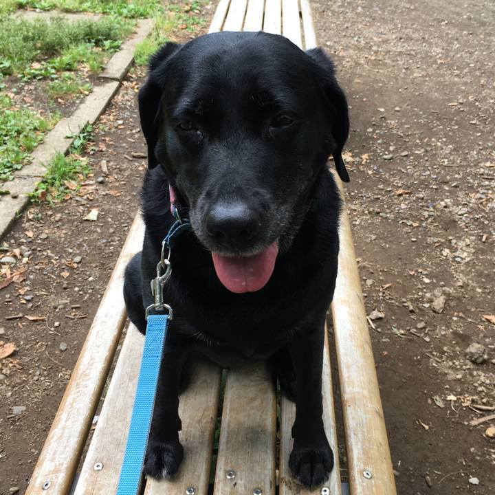 Ed9c2bdb bdc8 4cae 8f70 8b0d14fe9377