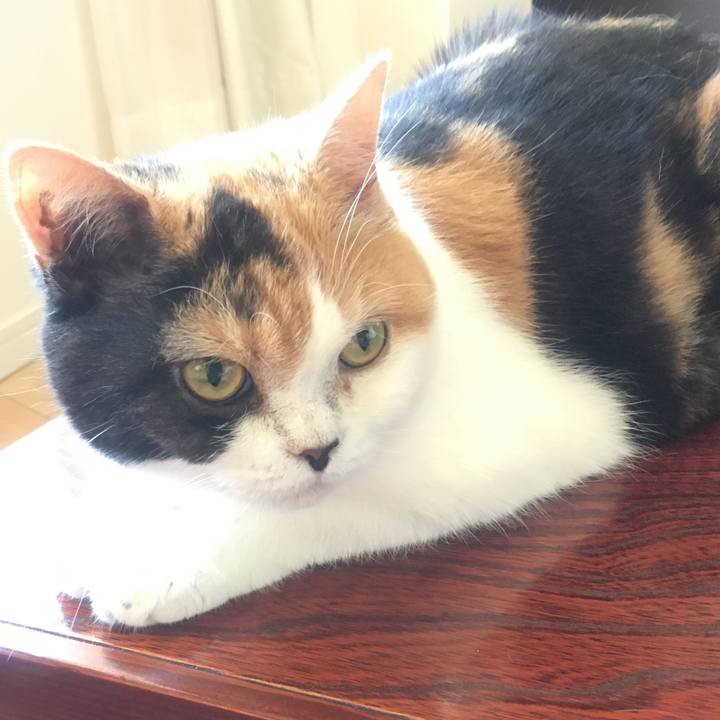 Ed9d44ad 64cb 4d41 9ccc 6b63fb5dee88