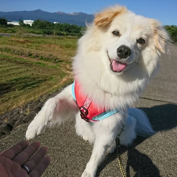 Ed9d4720 f710 4e46 b38f 34fc8ca1cdec