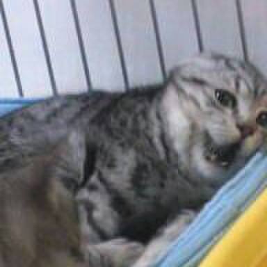 Ed9d7846 9dcb 41de ad1f faefcefbb4ec