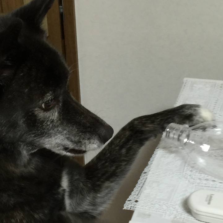 Ed9d86f6 7217 41ec b17a 6ba3d641bb79