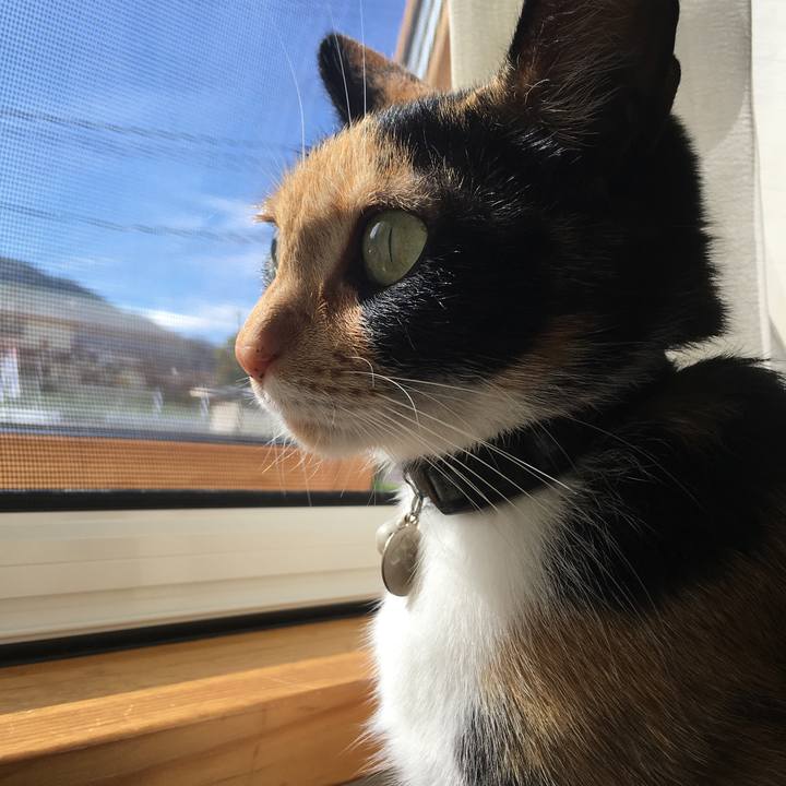 Ed9d9438 76c4 46b2 840a 97f8fde47c37