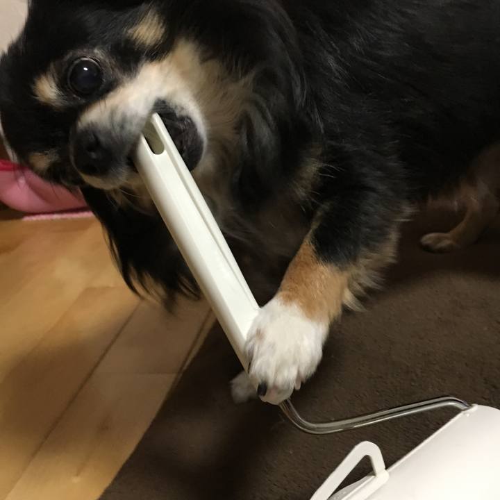 Ed9dffa7 25a1 4ab9 aa91 9600f1507983