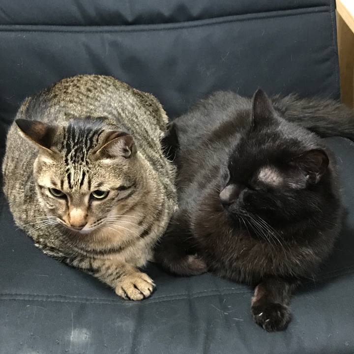 Ed9ef3e0 2f03 4cf3 821f c3c0c9c69a03