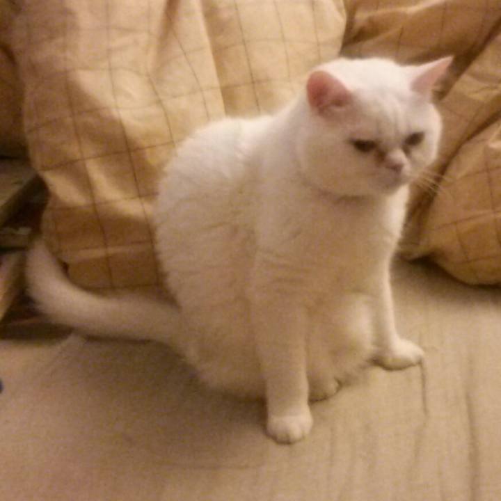 Ed9f2600 e7c5 48ea aedf d3c18b35dcd2