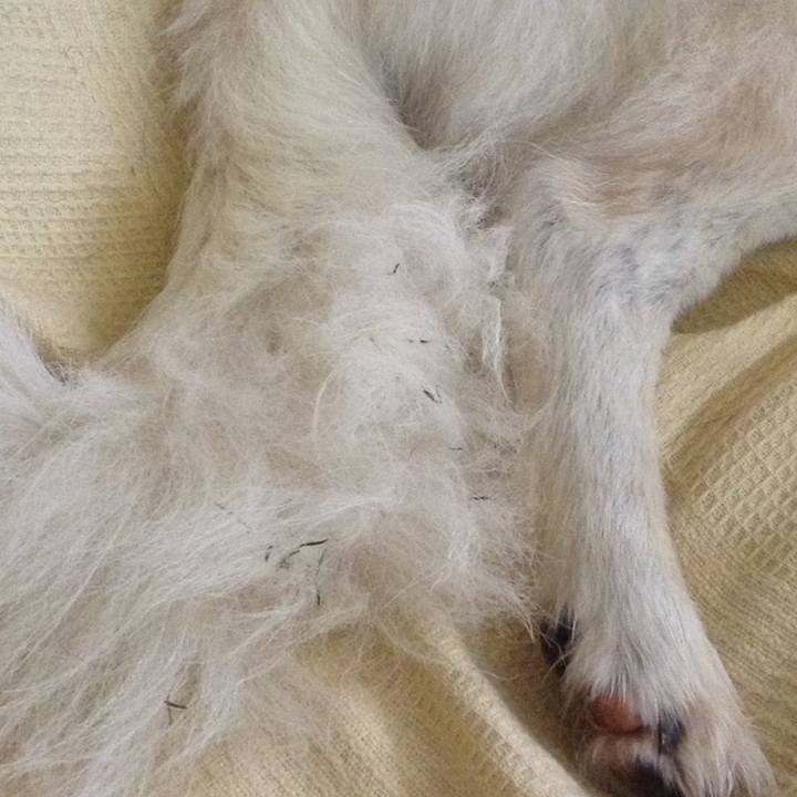 Ed9ffe87 e9c7 4d24 9795 d7e4db0e8edb