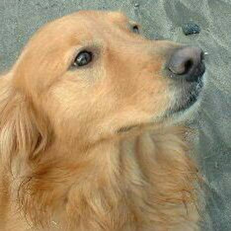 Eda01fcd 2d58 4805 841e 1c70684a6c1a