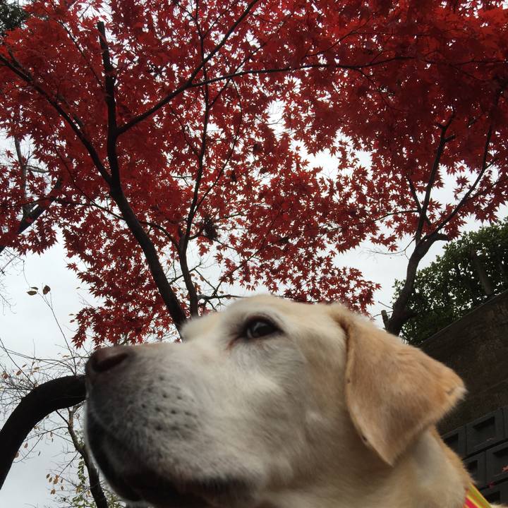 Eda090c2 71a6 4f6c 95fe 5d2c5745240c