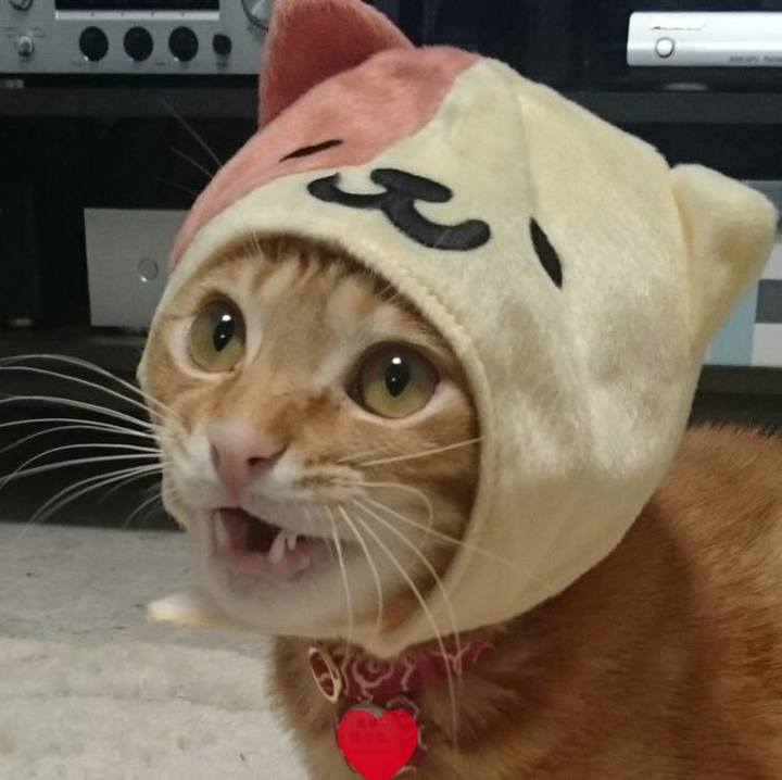 Eda0f392 bac2 488b 8995 7142dc12e166