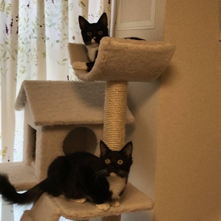 Eda10529 d1e2 420c 8b72 f64d2e2232e9