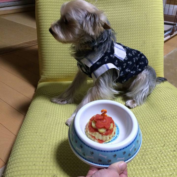 Eda15150 0d0b 4415 8be4 948e4e3f3a9d