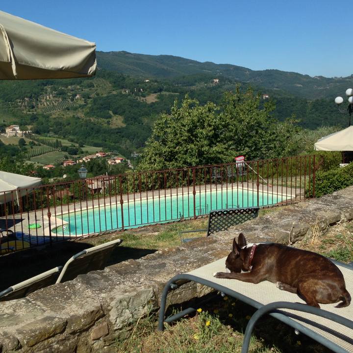 Eda26661 1636 49c7 a32a 5a1f44025e99