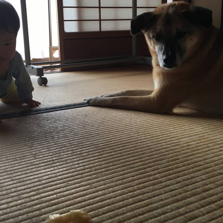 Eda28c8c 41bf 40f9 8fef 6a313a867c7e