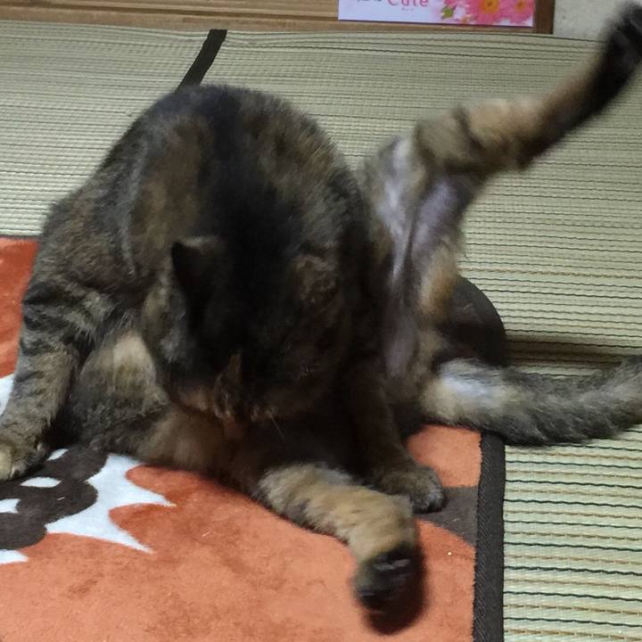 Eda2b639 1268 4bbd 951a 29b891444489