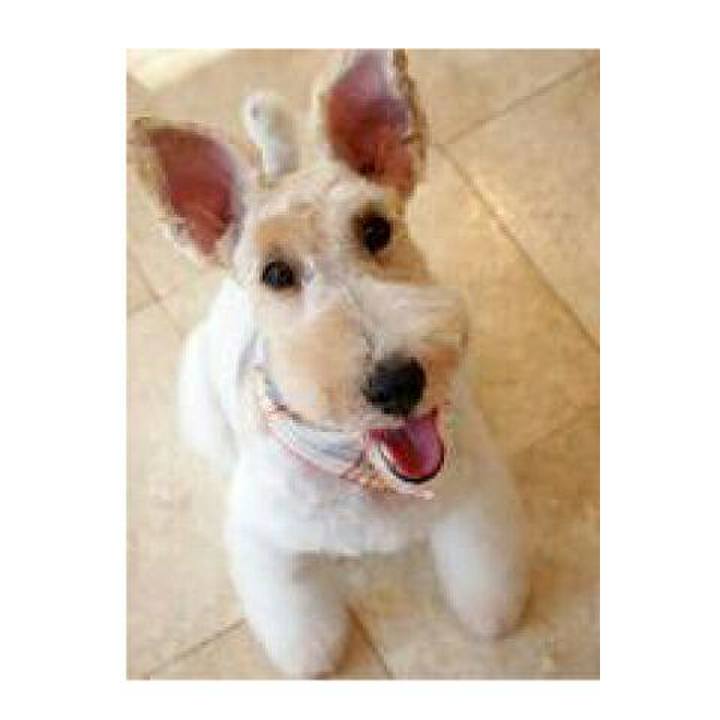 Eda31d78 18b1 4134 9227 b7ede906ec0d