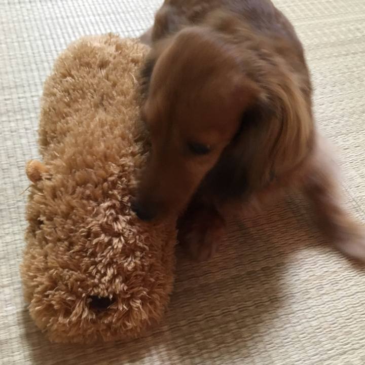 Eda320aa e505 441c 95a2 af61a721d72c