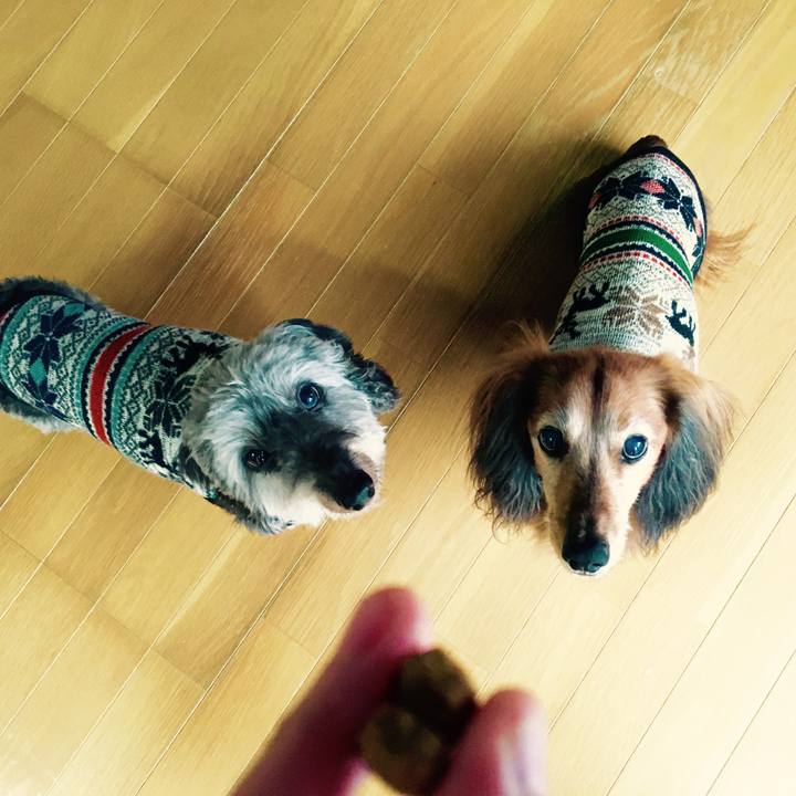 Eda3a484 9293 43ba 96ec 54bea231427e