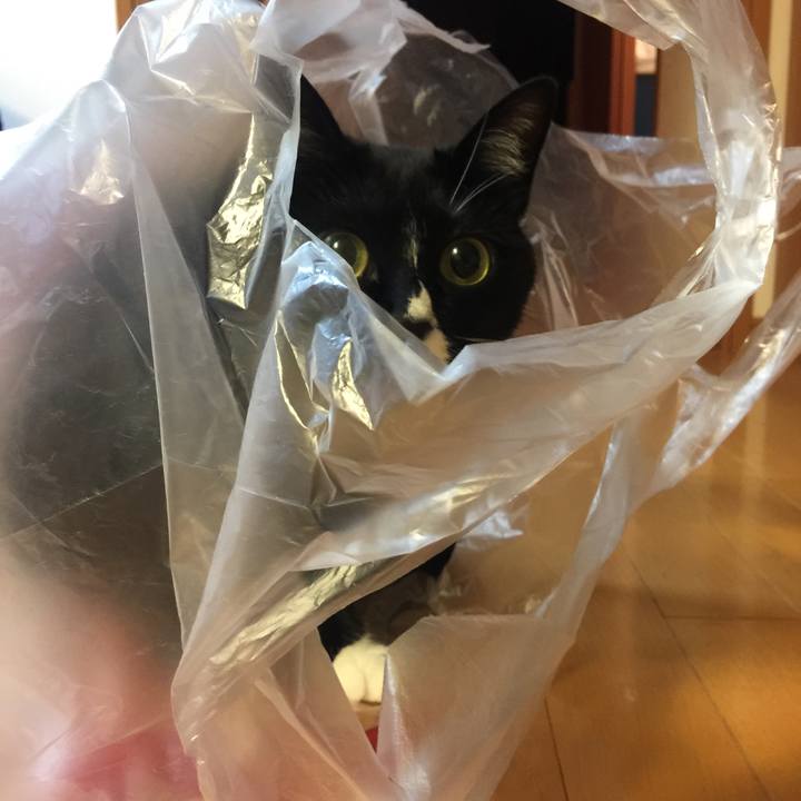 Eda40b87 a6e2 42e0 b764 e83d0b91b329