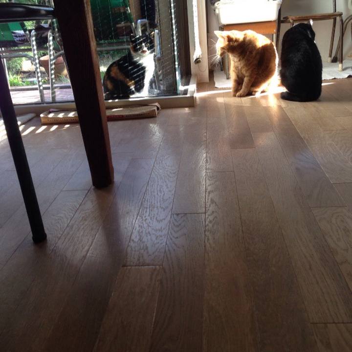 Eda47ae9 3250 4017 9274 0b732a8fabd9