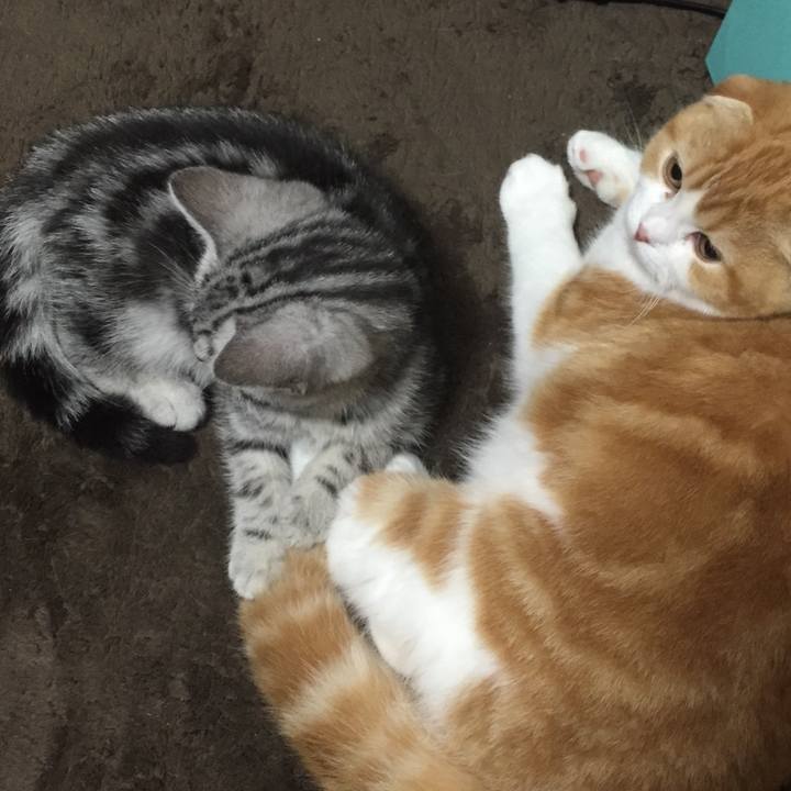 Eda50eb9 aa3b 45c2 b8d8 06fc665730a3