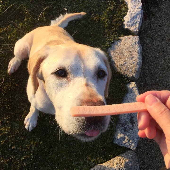 Eda513e6 154f 4407 bef9 f506dde67fd7