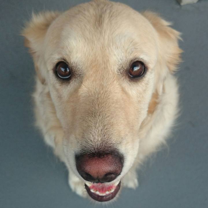 Eda521e2 723a 4d5a 8f88 8e6ad90209c1