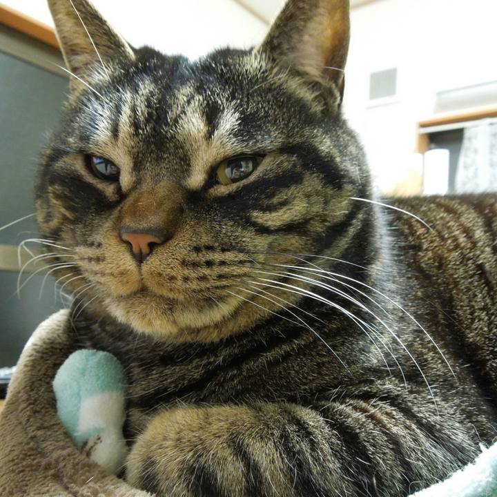 Eda644bf 97ef 4b56 b2c6 480c433cc709