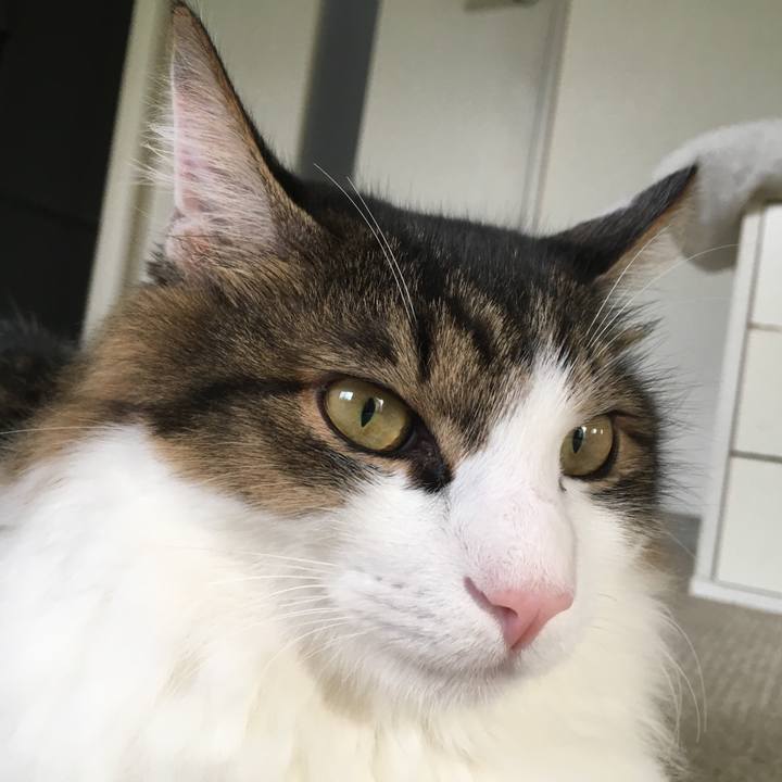 Eda691c2 c1fb 429b bb18 73066600d702