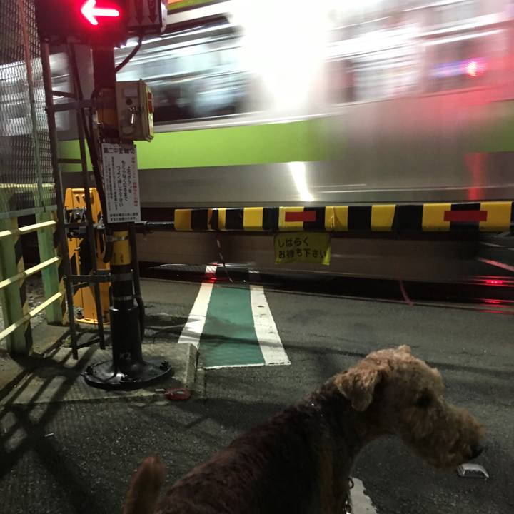 Eda7f922 9731 484a 9e7b cdb158ac4964