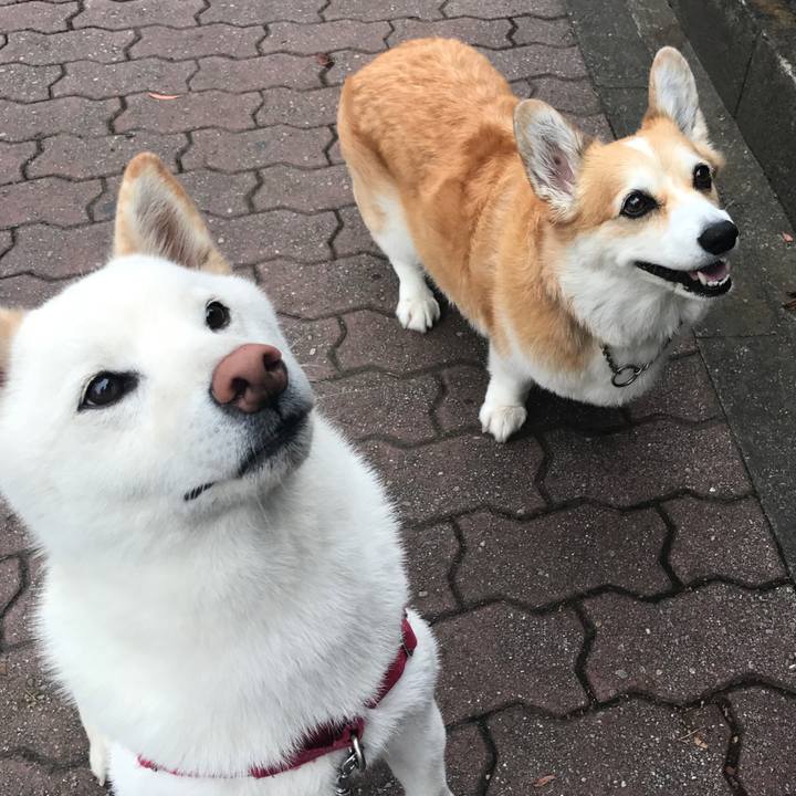 Eda92ea1 9303 41d7 9dce ac269e8e1d30