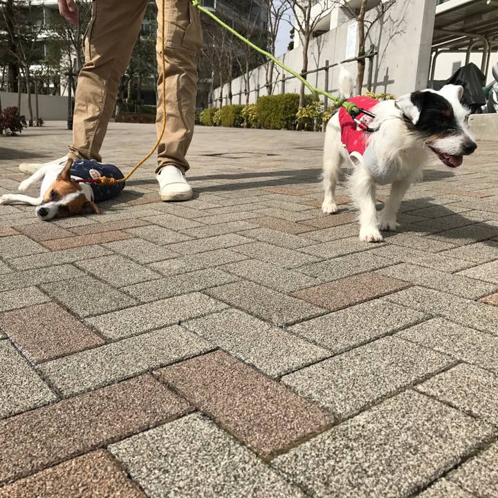 Eda979c7 0145 4d72 92a9 0e84ad59873a