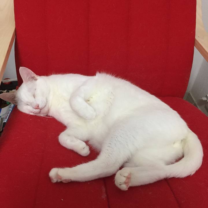 Edaa0ed2 cbeb 438e aeb3 e09b6e06b9a2