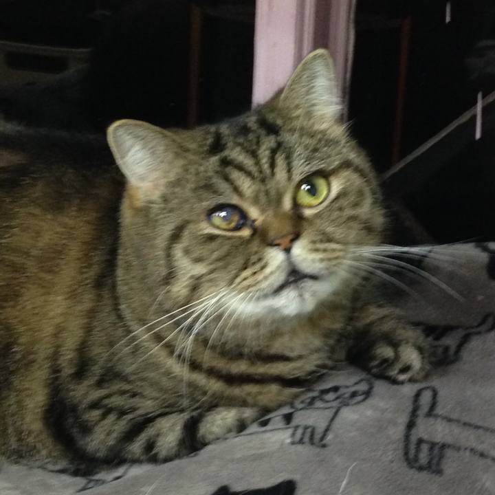 Edaa102f bbc5 4456 af73 370472575612